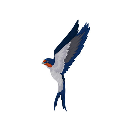 Flying swallow, graceful bird with red plumage around the beak and dark blue wings vector Illustration on a white backgroundのイラスト素材