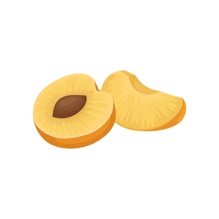 Half of ripe apricot with bone and small slice. Natural and healthy food. Juicy fruit. 100% organic product. Healthy nutrition. Colorful vector illustration in flat style isolated on white background.のイラスト素材