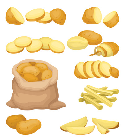 Set of potato icons. Natural farm product. Raw vegetable. Organic and healthy food. Healthy eating. Cooking ingredient. Cartoon vector design. Colorful flat illustrations isolated on white background.のイラスト素材
