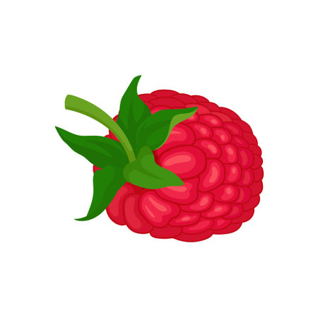 Colorful icon of ripe raspberry with green peduncle. Sweet garden berry. Natural food. Juicy summer...