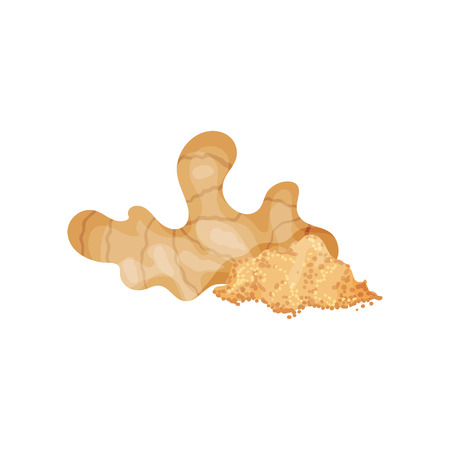 Raw ginger root and heap of powder. Fragrant seasoning for food and drinks. Aromatic spice. Natural product. Culinary theme. Colorful vector design. Detailed flat icon isolated on white background.のイラスト素材