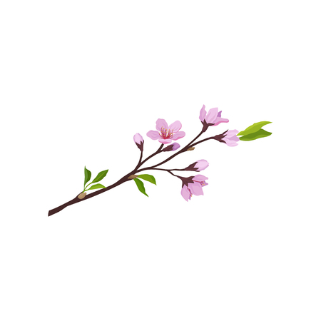 Detailed illustration of sakura branch with small pink flowers and green leaves. Cherry blossom. Nature theme. Graphic element for postcard. Vector icon in flat style isolated on white background.のイラスト素材
