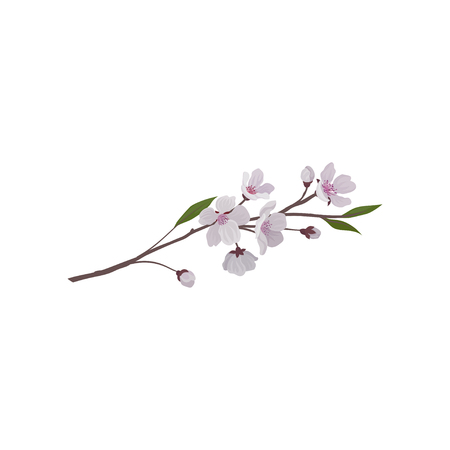 Twig with small pink flowers and green leaves. Branch of fruit tree. Cherry blossom. Nature and botany theme. Graphic element for textile. Detailed flat vector design isolated on white background.のイラスト素材