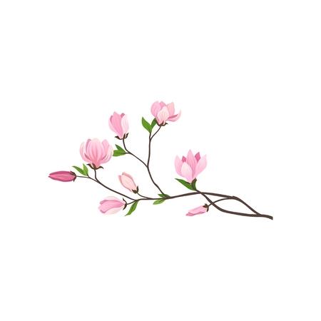 Small branch of tree with fresh pink flowers. Nature and flora theme. Graphic design for invitation card or botanical book. Detailed vector illustration in flat style isolated on white background.のイラスト素材