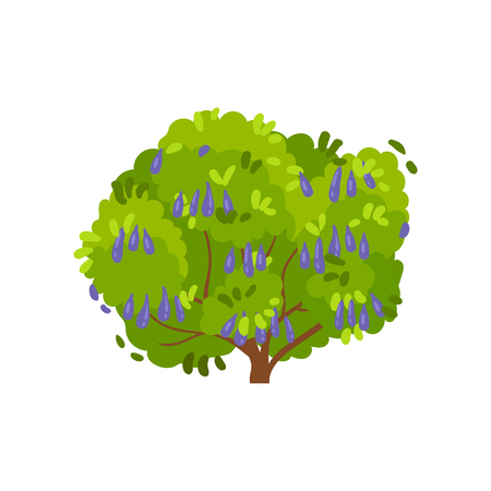 Colorful illustration of honeysuckle bush. Large shrub with ripe edible berries and green foliage. Garden plant. Natural landscape element. Vector icon in flat style isolated on white background.のイラスト素材