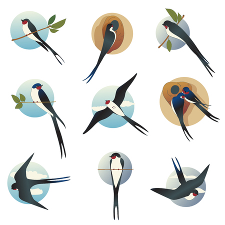 Flat vector set of martlets or barn swallows with circle shape background. Wild bird with long forked tailのイラスト素材