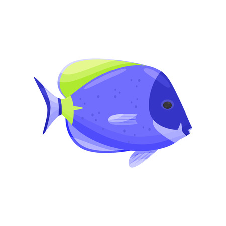 Blue aquarium fish on white background. Water life. Cartoon exotic fish. Aqua concept. Fauna of underwater world. Vector flat illustration.のイラスト素材