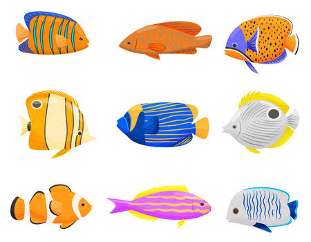 Collection of colorful tropical fish on white background. Cartoon exotic fish. Aqua concept. Fauna of underwater world. Vector flat illustration.のイラスト素材