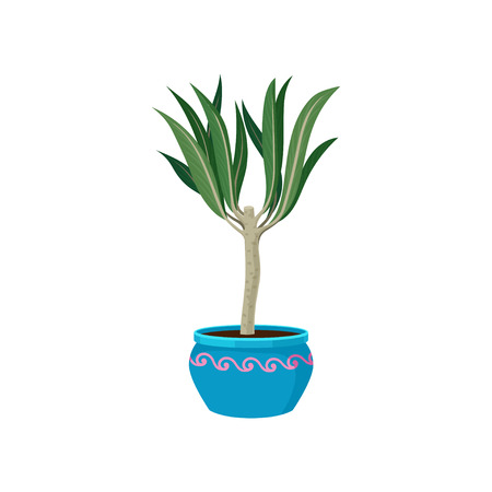Home plant in blue pot on white background. Natural interior decor. Potted flower. Flora concept. Vector flat illustration.のイラスト素材