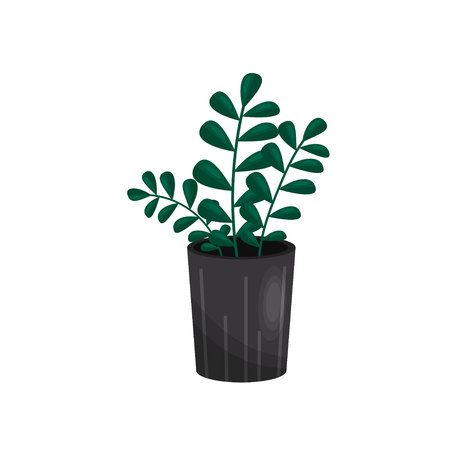 Houseplant concept. Decor element for living room. Interior object in apartment. Vector flat illustration.のイラスト素材