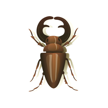 Stag beetle on white background. Vector illustration.のイラスト素材
