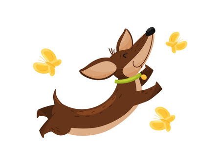 Happy dachshund with butterflies on white background.のイラスト素材