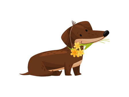 Dachshund with flowers bouqueton white background. Spring concept.のイラスト素材