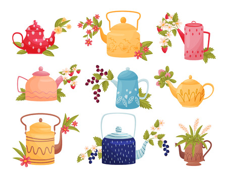 Collection of flowers in colored teapots on white background. Decorative elements for home and garden. Floral concept. Vector flat illustration.のイラスト素材