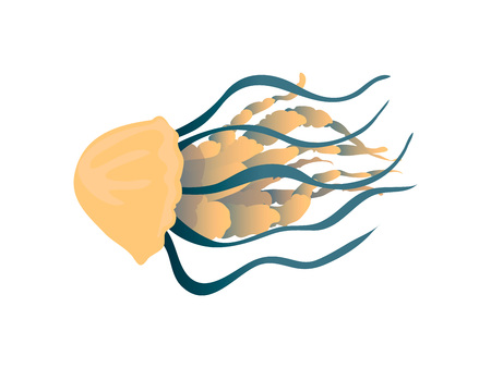 Yellow-blue jellyfish with thick tentacles close-up. Vector illustration on white background.のイラスト素材