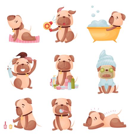 Collection of cartoon pugs. Vector illustration isolated on white background.のイラスト素材