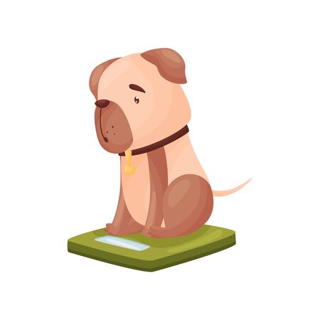 Dog sits on the scales. Vector illustration on white background.のイラスト素材