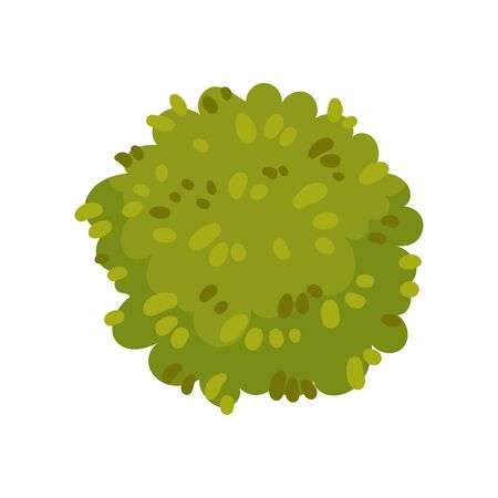 Bush in the form of a circle. View from above. Vector illustration on white background.のイラスト素材