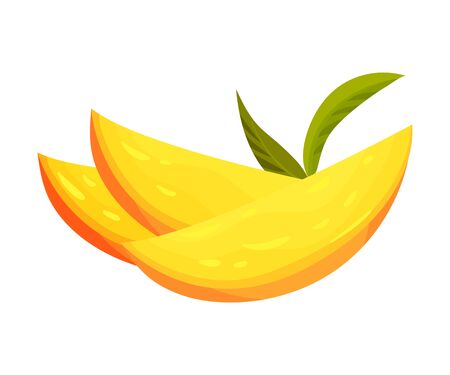 Three yellow mango slices. Vector illustration on white background.のイラスト素材