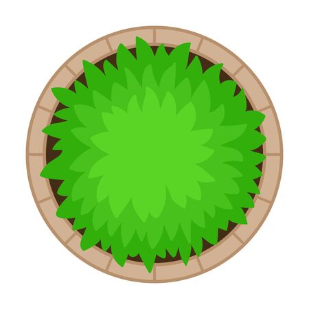 Bush in the flowerbed. Vector illustration on a white background.のイラスト素材