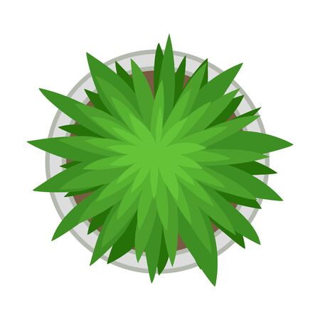 Lush plant in the flowerbed. Vector illustration on a white background.のイラスト素材