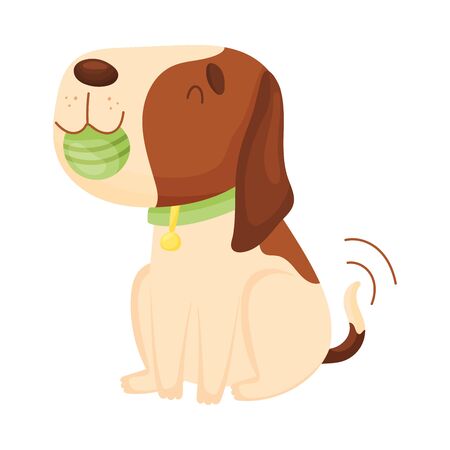 Cute beagle holds a ball in his teeth. Vector illustration on a white background.のイラスト素材