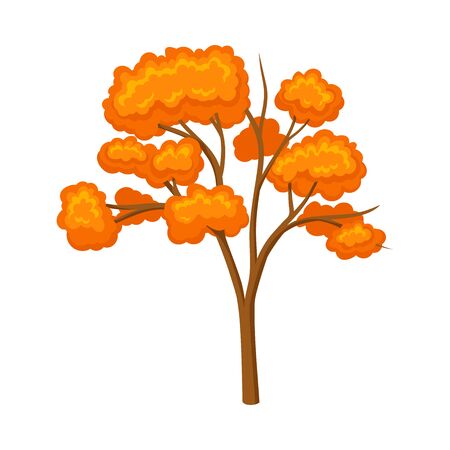 Thin tree with an orange crown. Vector illustration on a white background.のイラスト素材