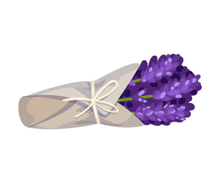 Magnificent bouquet of lavender in paper. Vector illustration on a white background.のイラスト素材
