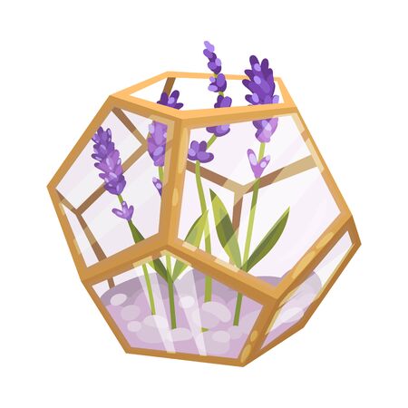 Lavender in a glass polygon. Vector illustration on a white background.のイラスト素材