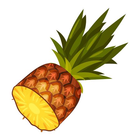 Half a pineapple. Vector illustration on a white background.のイラスト素材