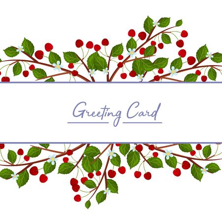 Wide white stripe with the inscription Greeting card. is decorated with branches with moldings and fruits of cherry. Vector illustration.のイラスト素材