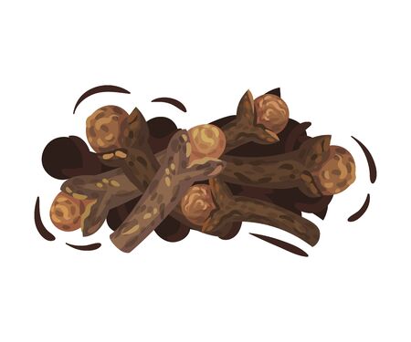 Pile of Dried Clove Flower Buds Vector Illustrated Set. Botanical Aromatic Cooking Conceptのイラスト素材