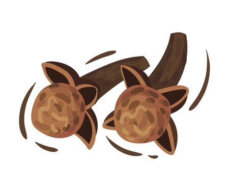 Clove Dried Flower Buds. Detailed Drawn Vector Illustrated Items. Natural Healthy Planting Conceptのイラスト素材
