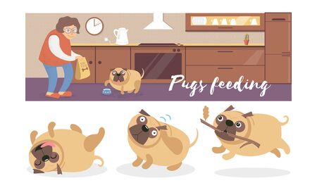 Cartoon pugs in different poses and a woman in the kitchen. Vector illustration.のイラスト素材