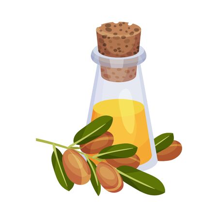 Jojoba Oil Bottle with Label and Jojoba Branch Next to It Vector Illustrationのイラスト素材