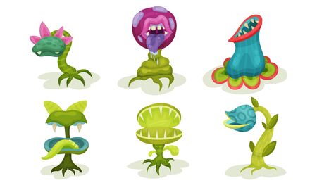 Set of carnivorous plants. Vector illustration on a white background.のイラスト素材