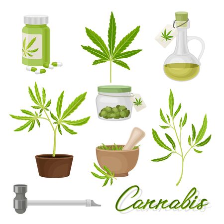 Marijuana or Cannabis Vector Volume Set. Medical Smoking Weedのイラスト素材