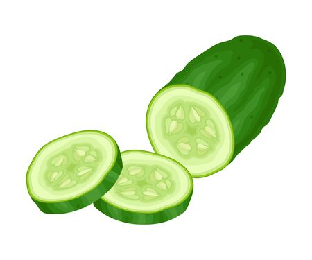Fresh Sliced Cucumber Vector Element. Green Juiced Vegetableのイラスト素材