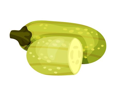 Zucchini Crop Illustrated Minestrone Ingredient Isolated On White Backgroundのイラスト素材
