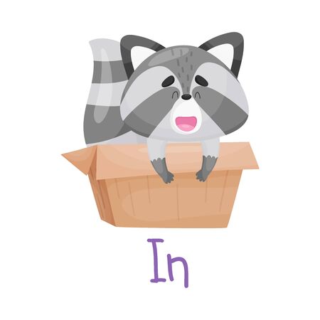 Pretty Little Raccoon Inside Box With Handwritten Inscription In Vector Illustration Cartoon Characterのイラスト素材