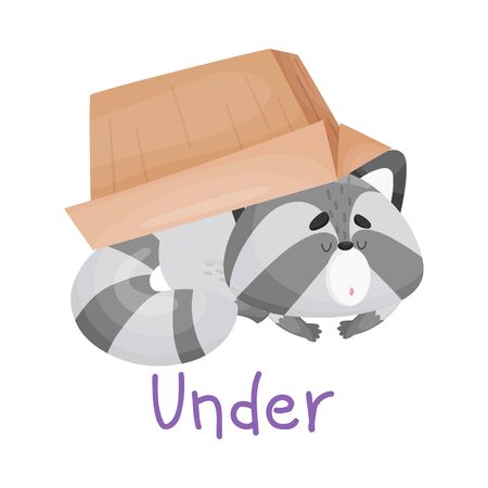 Baby Raccoon Laying Under The Box With Handwritten Inscription Preposition Under Vector Illustration Cartoon Characterのイラスト素材