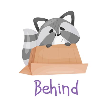 Pretty little raccoon is behind the box, with handwritten inscription Behind. From funny animals collection of prepositions. Vector illustration, cartoon character, isolated, white background.のイラスト素材