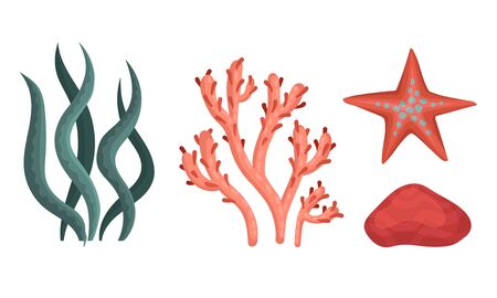 Collection of Corals and Seaweeds, Underwater Flora and Deep Sea Creatures Vector Illustrationのイラスト素材
