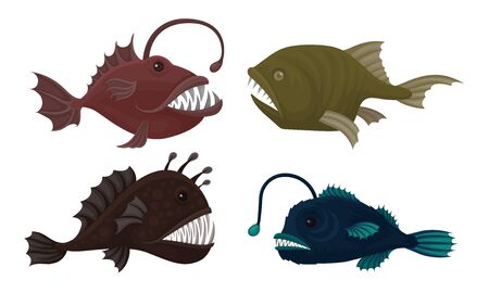 Deep Sea Creatures Vector Set. Marine Dangerous Fish with Sharp Teeth. Oceanic Monsters Conceptのイラスト素材
