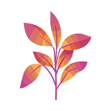 Decorative Plant Element Isolated on White Backgroundのイラスト素材