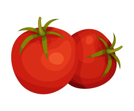Fresh Ripe Red Tomatoes, Organic Healthy Vegetables Vector Illustrationのイラスト素材