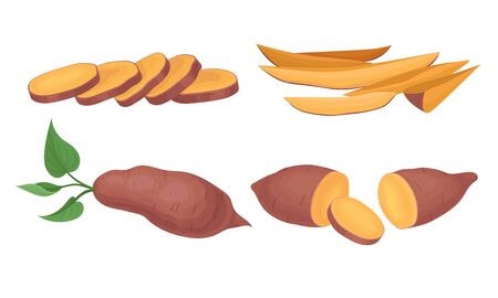 Chopped and Cut into Slices Sweet Potatoes Vector Setのイラスト素材