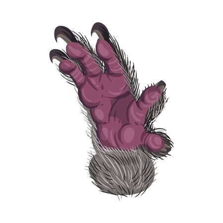 Animal Paw Isolated on White Background Vector Element. Pad with Sharp Claws. Furry Clutch Conceptのイラスト素材