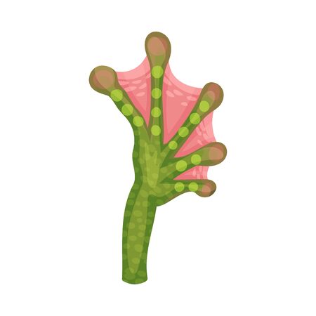 Animal Paw Isolated on White Background Vector Element. Membranous Foot with Sharp Claws. Squamate Clutch Conceptのイラスト素材