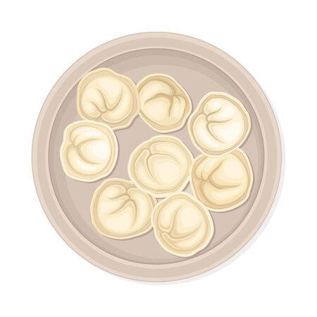 Cooked Dumplings Served on Ceramic Plate Top View Vector Illustrationのイラスト素材